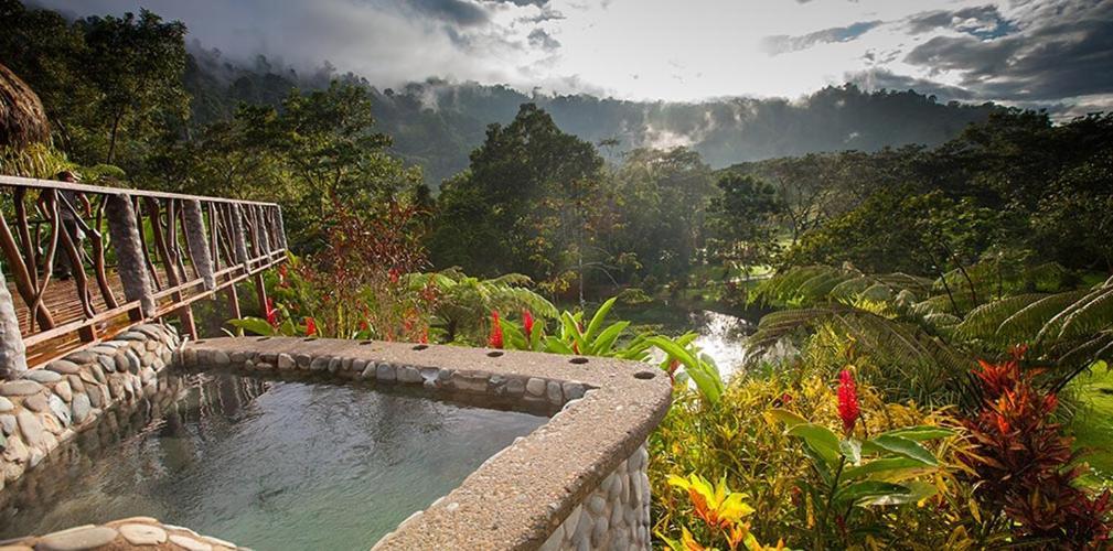Rafiki Safari Lodge Savegre Dış mekan fotoğraf