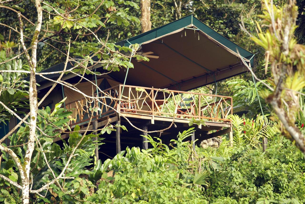 Rafiki Safari Lodge Savegre Oda fotoğraf