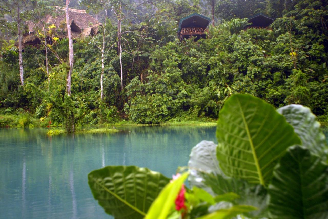 Rafiki Safari Lodge Savegre Oda fotoğraf